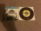 mudhoney  dark brown   Rarest colour sub pop nirvana