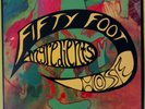 FIFTY FOOT HOSE - Ingredients (1997 archival LP on Del Val; '66;'67 45+) M-/EX+