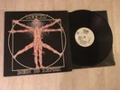 Leeway   “Born to Expire”