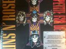 Guns N Roses Appetite for Destruction NEW LIMITED DOUBLE 180g Expanded LP