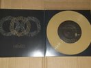 HRVRD (harvard)- From The Bird's Cage CREAM 7