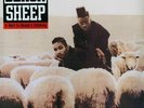 Black Sheep -   A Wolf In Sheep's Clothing -  New Vinyl Record Factory Sealed LP