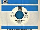 I'LL WIND IN MY DARK WORLD GROUP PSYCH GARAGE ROCK PROMO 45 RPM MUSIC RECORD