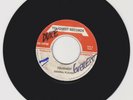 TOUGHEST RECORDS/ TOUGHEST - GENERAL PLOUGH (REGGAE ROOTS 7
