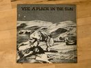 YDI A Place In The Sun 7