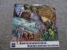 Tyrannosaurus Rex - My People Were Fair And Had Sky In Their Hair - LP - 1968