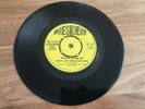 LLOYD ALEXANDER REAL ESTATE 'GONNA LIVE AGAIN' PRESIDENT RECORDS 1967 PT157