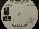 JOE PHILLIPS 