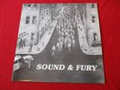 Youth Brigade SOUND AND FURY LP UNKNOWN REPRESS kbd Minor Threat ssd black flag