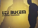 Ltj Bukem Journay Inwards Vinyl