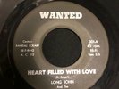 Garage Monster LONG JOHN & THE SILVERMEN:Heart Filled With love- Wanted Rare 45