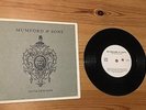 Mumford & Sons ?– Little Lion Man, Vinyl, 7