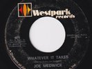 JOE MEDWICK Whatever It Takes RARE northern soul 45 deep soul MASTERPIECE HEAR