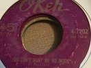 THE OPALS-YOU CAN'T HURT ME NO MORE-- NORTHERN SOUL ORIGINAL  45