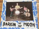 SUNNY DOMESTOZS  original Vinyl LP +Poster Barkin At The Moon (1985)Götz Alsmann