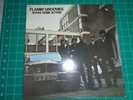 Flamin' Groovies ?– Shake Some Action SIRE RECORDS 1976 MINT FACTORY SEALED