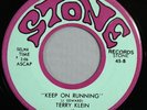 HEAR IT 60's Garage Rocker 45 rpm record Terry Klein 