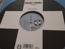 Binary Finary ?– 1999 12
