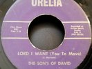 GROUP SOUL GOSPEL 45 by THE SONS OF  DAVID HEAR IT