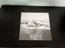 If These Trees Could Talk - The Bones of a Dying World.  Vinyl, LP, Record