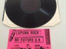 Sex Pistols Spunk /No Future UK Black Label Album Vinyl GD 001