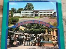 REGGAE / SKA --  LLOYD CHARMERS & HIPPY BOYS  -- HOUSE IN SESSION - PAMA ECONOMY