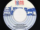 Modern Soul Boogie 45 - David Alexander - U Drive Me Wild - Sound Town VG++ mp3