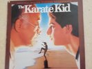 LP 33 THE KARATE KID Soundtrack IN GOOD CONDITION IN ITALY NOT FOUND
