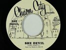 Funk Disco 45 - She Devil - She Devil - Charm City - VG++ mp3