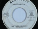 Garage Psych 45 GALAXIES IV Don't Lose Your Mind RCA VICTOR promo HEAR