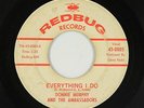 Northern Soul 45 - Donnie Murphy & Ambassadors - Everything I Do - Redbug - mp3