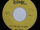 Rockabilly 45 BILL MACK Cat Just Got In Town STARDAY HEAR
