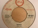 DOO-WOP/SKA - JIVING JUNIORS ?– ANDREA/DON'T LEAVE ME - WI-027