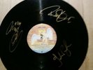 Vinyl 12