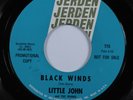 Garage 45 LITTLE JOHN Black Winds JERDEN promo HEAR