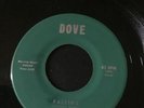 The Companions Falling Oh What A Feeling Super Rare Original Doo Wop 45 Vg+
