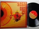 Kate Bush    the kick inside