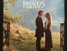 THE PRINCESS BRIDE Mark Knopfler OST SOUNDTRACK VERTIGO 1987 UK Orig VINYL LP EX