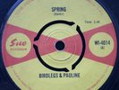 BIRDLEGS & PAULINE - SPRING rare SUE 45 WI-4014