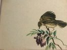 Jascha Heifetz Castelnuovo-Tedesco, Faure & Vitali The Lark, Sonata, Chaconne