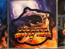 Stryper Limited Edition Picture Disc Fallen NMHTP God damn evil Numbered