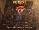 FLESHCRAWL - Descend Into the Absurd TEST PRESSING #2/5 Vinyl Record LP NM