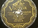 ALEXIS ZOUBAS Liaskobitikos VICTOR 68781 Greece 12