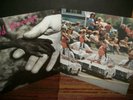 Lot: 2 DEAD KENNEDYS - Plastic Surgery Disasters / Frankenchrist - SEALED vinyl