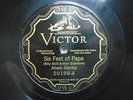 AILEEN STANLEY Six Feet of Papa Looking at the World thru Rose Victor 20198 E+