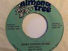 Xian Psych Hard Rock 45 SALTY OATS Chief Corner Stone/Thanks Almond Tree HEAR