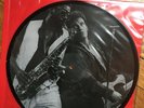 BRUCE SPRINGSTEEN THE GREAT WHITE HOPE PICTURE DISC VINYL NM/NM