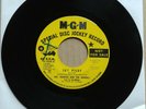 ERIC BURDON AND THE ANIMALS Sky Pilot 45 7