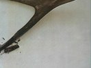Wishbone Ash MCA Vinyl LP