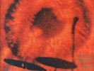 MONSTER MAGNET 25... Tab 12